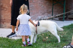 Family Day Cassoli group – 092 – MN209164