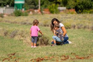 Family Day Cassoli group – 159 – MN209231