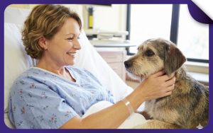 Pet Therapy at the Rizzoli Hospital in Bologna: the Cassoli Group supports the project