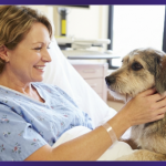 Pet Therapy at the Rizzoli Hospital in Bologna: the Cassoli Group supports the project