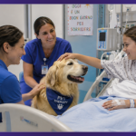 Pet Therapy al Rizzoli di Bologna: il Gruppo Cassoli riceve il Diploma di Benemerenza da AGITO ODV