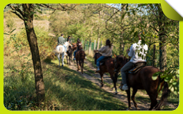 Family Day 2026 del Gruppo Cassoli: una giornata speciale tra cavalli, natura e condivisione